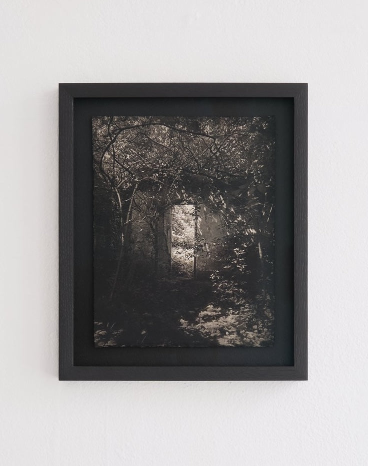 Simona Popovic, The nuances of the color passed through the room so quickly that it became silent (2024)
