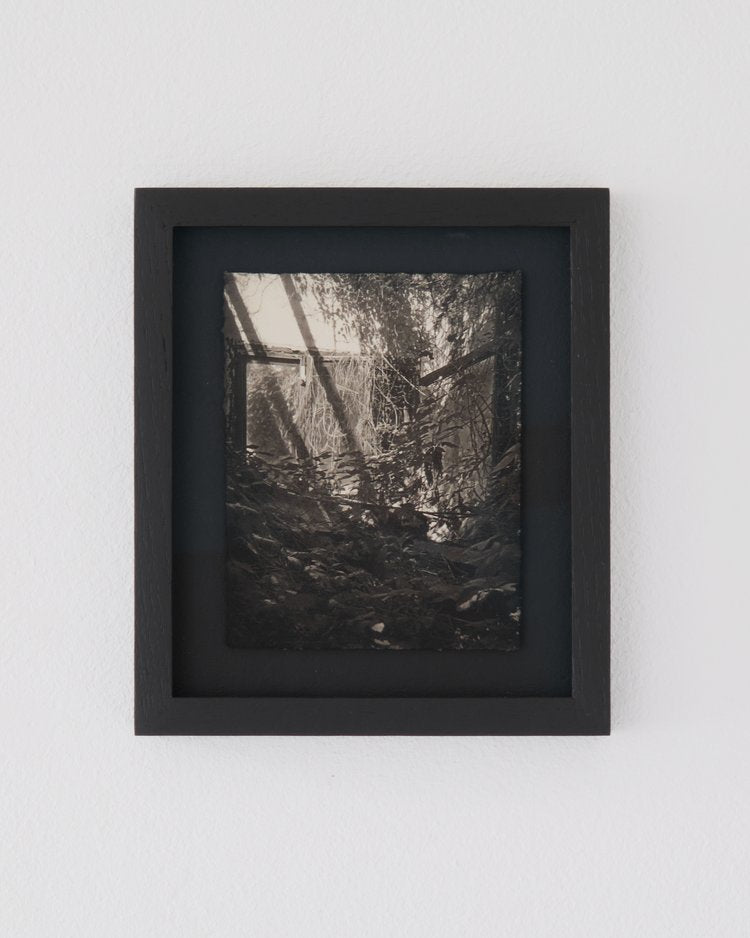 Simon Popovic, The absent presence of the colors causes the solitude to change (2024)