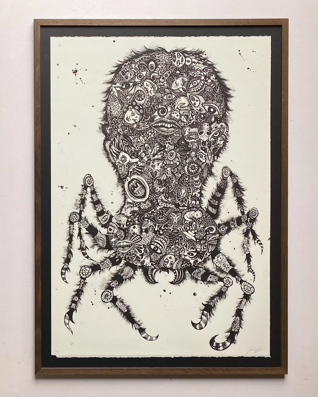 Julie Nord, Common House Spider (2015)