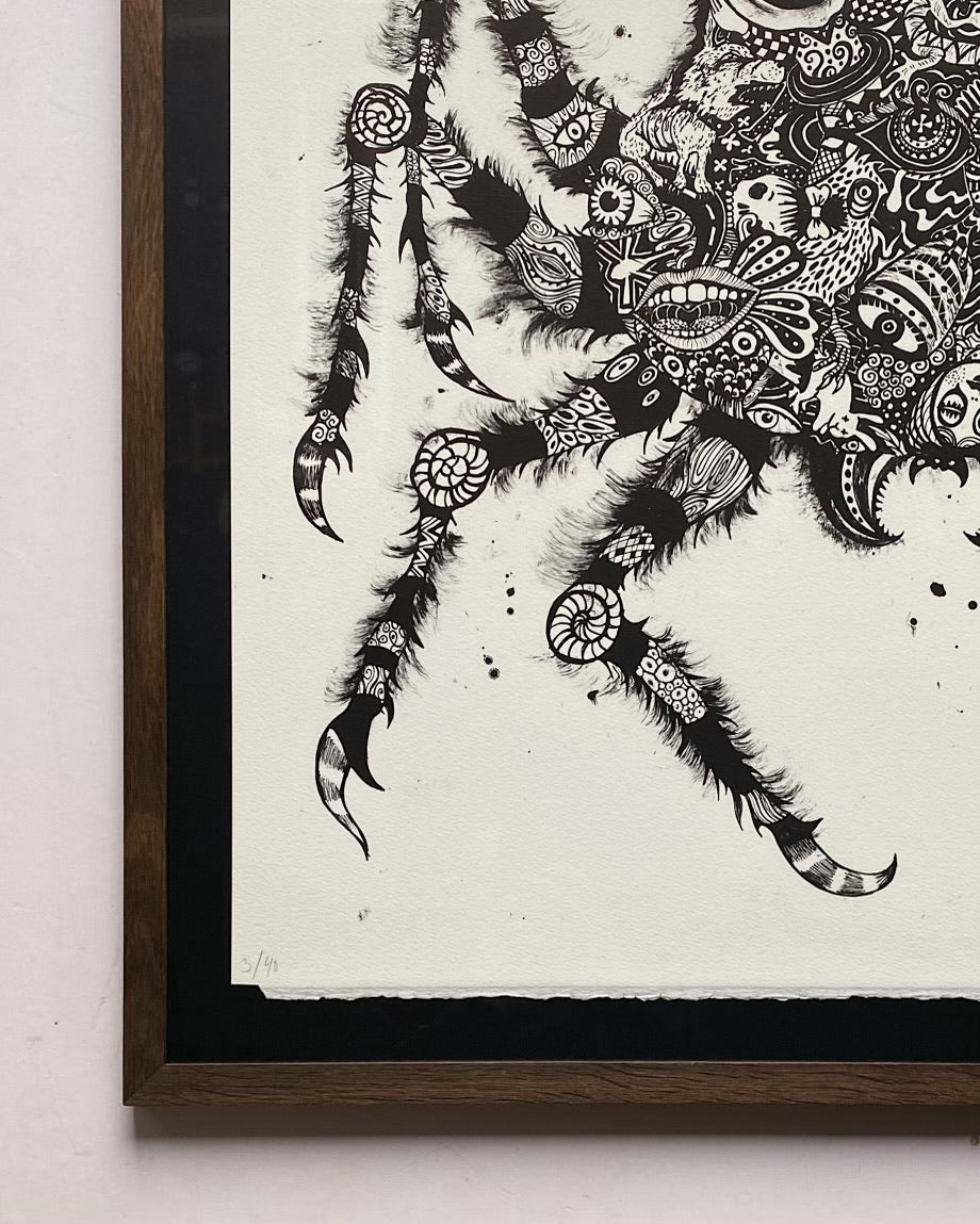 Julie Nord, Common House Spider (2015)