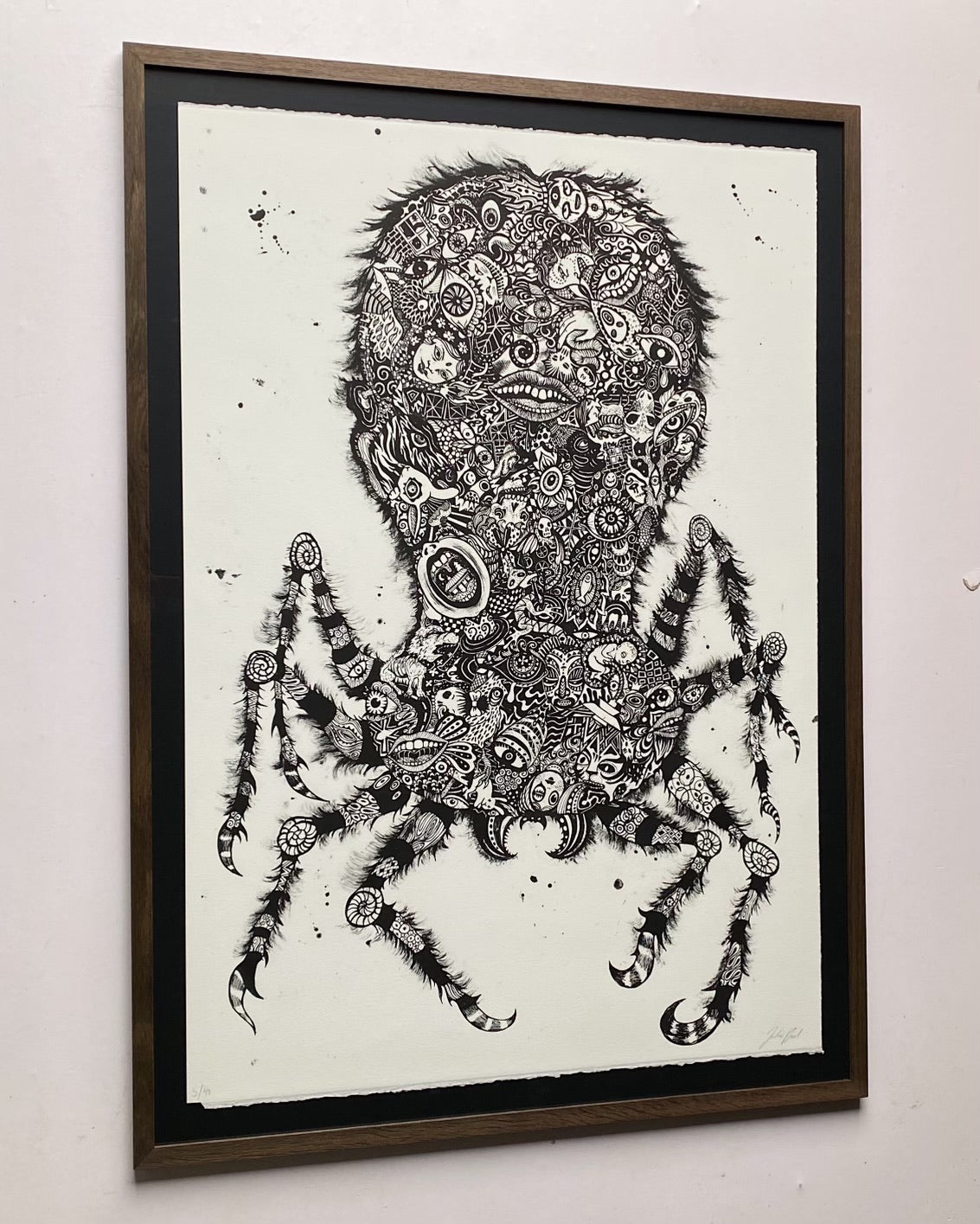 Julie Nord, Common House Spider (2015)