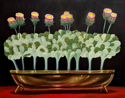 Klara Sedlo, Plant Still Life II (2024)