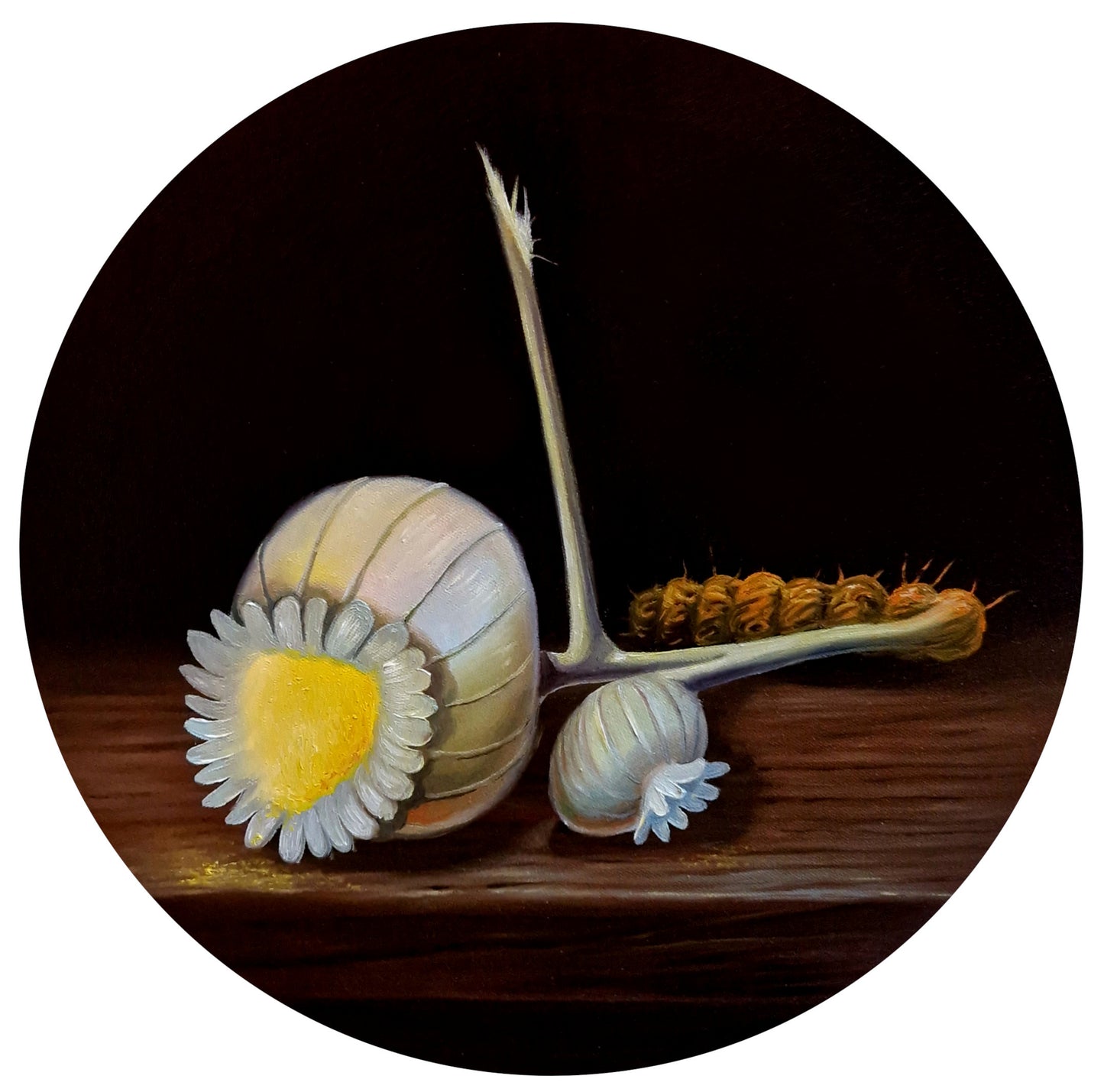 Klara Sedlo, Peculiar Poppy (2024)