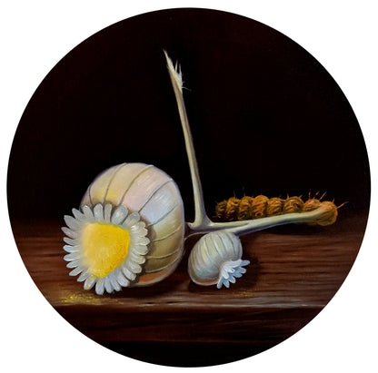 Klara Sedlo, Peculiar Poppy (2024)